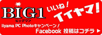 ! iiyama PC Photo Ly[