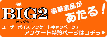 [U[{CX AP[gLy[y[W